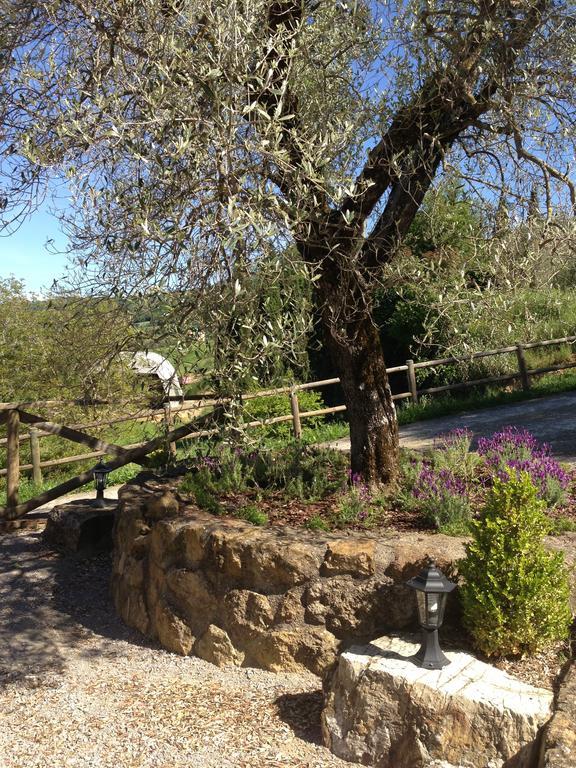 Podere Poggio Benedetto Saturnia Quarto foto
