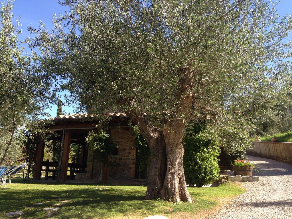 Podere Poggio Benedetto Saturnia Quarto foto